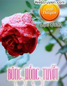 Bông Hồng Tuyết