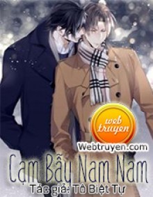 Cạm Bẫy Nam Nam