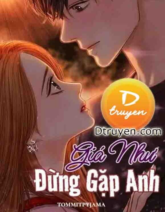 Giá Như Đừng Gặp Anh