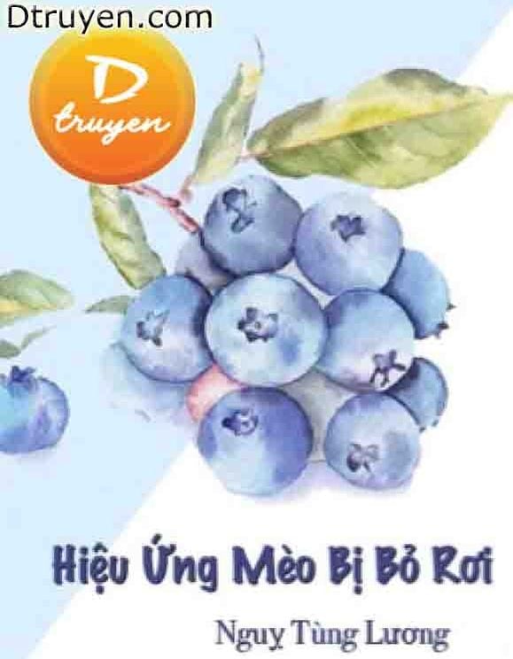 Hiệu Ứng Mèo Bị Bỏ Rơi