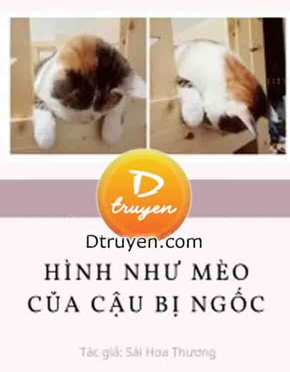 Hình Như Mèo Của Cậu Bị Ngốc