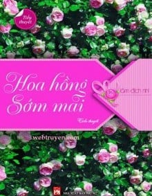 Hoa Hồng Sớm Mai