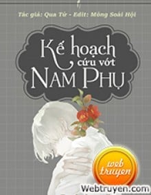 Kế Hoạch Cứu Vớt Nam Phụ