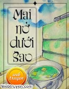 Mai Nở Dưới Sao