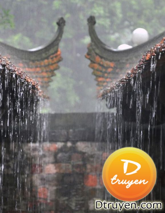 Mưa Rơi Ở Kim Thành