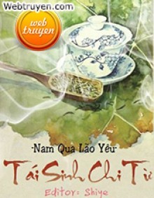 Tái Sinh Chi Từ