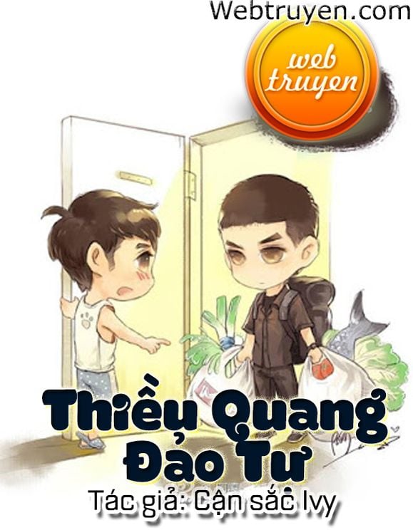 Thiều Quang Đảo Tự