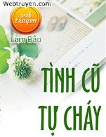 Tình Cũ Tự Cháy