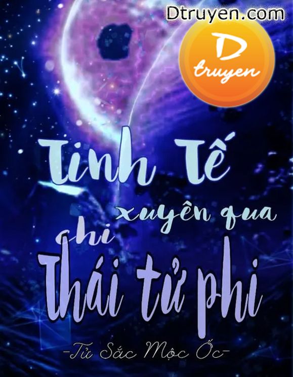 Tinh Tế Xuyên Qua Chi Thái Tử Phi