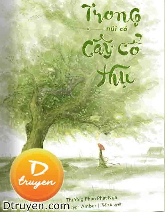 Trong Núi Có Cây Cổ Thụ