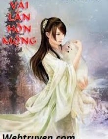 Vài Lần Hồn Mộng