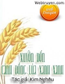 Xuyên Đến Cánh Đồng Lúa Xanh Xanh