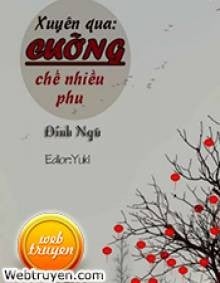 Xuyên Qua: Cưỡng Chế Nhiều Phu